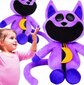 Pliušinis žaislas Smiling Critters CatNap XL, 40 cm kaina ir informacija | Minkšti (pliušiniai) žaislai | pigu.lt