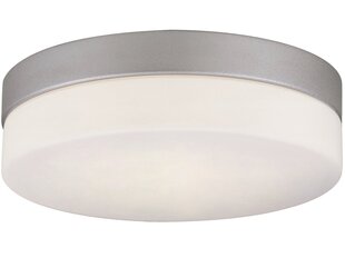 G.Lux универсальная лампа GT-900/3 IP44 цена и информация | Потолочные светильники | pigu.lt