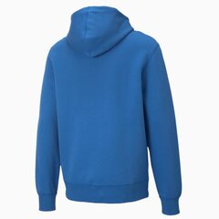 Vyriški "Puma X The Hundreds Reversible Hoodie" dvipusiai džemperiai цена и информация | Мужские толстовки | pigu.lt