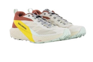 Bėgimo batai vyrams Salomon Sense Ride 5 87679, įvairių spalvų kaina ir informacija | Kedai vyrams | pigu.lt