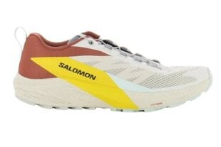 Bėgimo batai vyrams Salomon Sense Ride 58789, įvairių spalvų цена и информация | Кроссовки для мужчин | pigu.lt