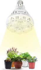 LED Sansi 24 W kaina ir informacija | Daigyklos, lempos augalams | pigu.lt