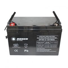 Аккумулятор Boxer GP12-100 100Ah 12V VRLA цена и информация | Akumuliatoriai | pigu.lt