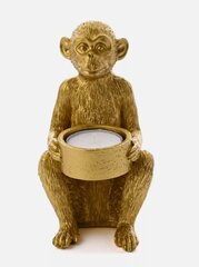 Žvakidė Auksinė beždžionė , 15 cm kaina ir informacija | Žvakės, Žvakidės | pigu.lt