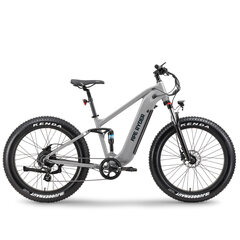 Elektrinis dviratis Ape Ryder 26 Buffalo-F Nardo, pilkas цена и информация | Электровелосипеды | pigu.lt