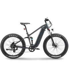 Elektrinis dviratis Ape Ryder 26 Buffalo-F, juodas цена и информация | Электровелосипеды | pigu.lt