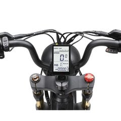 Elektrinis dviratis Ape Ryder 20 MD10 Pro Nardo, pilkas цена и информация | Электровелосипеды | pigu.lt