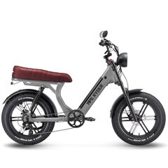 Электрический велосипед APE RYDER 20 MD10 Pro Nardo серый цена и информация | Электровелосипеды | pigu.lt