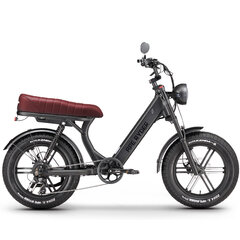 Elektrinis dviratis Ape Ryder 20 MD10 Pro Antracite, pilkas цена и информация | Электровелосипеды | pigu.lt
