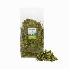 Skanėstas žiurkėms ir triušiams Factoryherbs Dandelion leaf, 300 g kaina ir informacija | Graužikų ir triušių maistas | pigu.lt