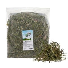 Корм для кроликов и грызунов Factoryherbs HeroBunny Basic Mix, 2 кг цена и информация | Корм для грызунов | pigu.lt