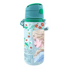 Water bottle 600 ml Frozen KiDS Licensing цена и информация | Стаканы, фужеры, кувшины | pigu.lt