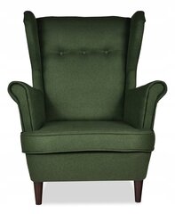 Fotelis Family Meble Aris TW 1078, žalias kaina ir informacija | Svetainės foteliai | pigu.lt