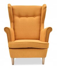 Fotelis Family Meble Aris TW 1180, geltonas kaina ir informacija | Svetainės foteliai | pigu.lt