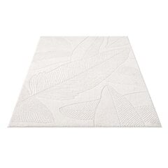 Carpet kilimas Lapai 80x150 cm цена и информация | Ковры | pigu.lt