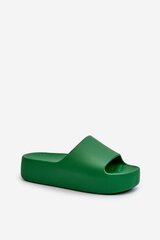 Flip-flops Step in style, green M1138052 цена и информация | Женские тапочки | pigu.lt