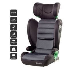 Automobilinė kėdutė BabyGO SafeChild I-Size IzoFix 15-36kg,Grey kaina ir informacija | Autokėdutės | pigu.lt