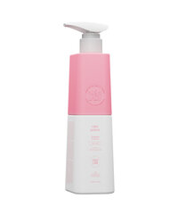 Šampūnas dažytiems plaukams Nishlady Color Protect Shampoo, 947 ml цена и информация | Шампуни | pigu.lt