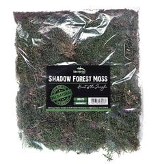 Natūralios samanos terariumui Terrario Shadow Forest Moss, 35x30 cm цена и информация | Товары для экзотических животных | pigu.lt