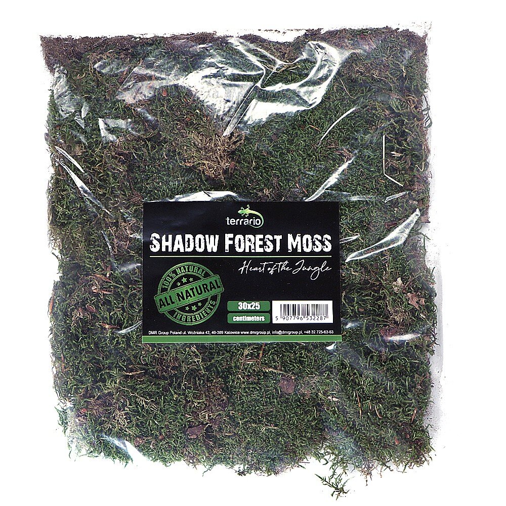 Natūralios samanos terariumui Terrario Shadow Forest Moss, 35x30 cm kaina ir informacija | Prekės egzotiniams gyvūnams  | pigu.lt