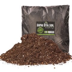 Pagrindas terariumui Terrario Supai Ola Soil, 6 l цена и информация | Товары для экзотических животных | pigu.lt