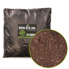 Pagrindas terariumui Terrario Supai Ola Soil, 6 l цена и информация | Товары для экзотических животных | pigu.lt