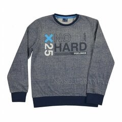 Džemperis berniukams G.T., mėlynas kaina ir informacija | Megztiniai, bluzonai, švarkai berniukams | pigu.lt