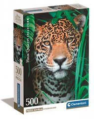 Dėlionė Jaguaras džiunglėse Clementoni, 500 d. kaina ir informacija | Dėlionės (puzzle) | pigu.lt