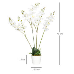 Dirbtinė gėlė vazonėlyje Orchidėja kaina ir informacija | Dirbtinės gėlės | pigu.lt