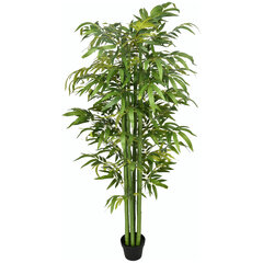 Dirbtinis augalas Bambukas kaina ir informacija | Dirbtinės gėlės | pigu.lt