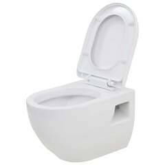 Pakabinamas tualetas, baltas цена и информация | Унитазы | pigu.lt