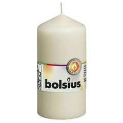 Žvakės Bolsius, 10vnt. цена и информация | Подсвечники, свечи | pigu.lt