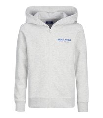 Детский свитшот Jack & Jones 12259856*01, светло-серый/wh 5715606045069 цена и информация | Свитеры, жилетки, пиджаки для мальчиков | pigu.lt