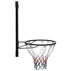 Krepšinio lenta vidaXL, 106x69x3 cm цена и информация | Баскетбольные щиты | pigu.lt