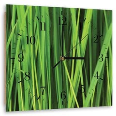 Sieninis laikrodis Žolė цена и информация | Часы | pigu.lt