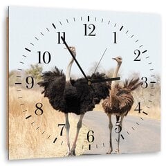 Sieninis laikrodis Du stručiai kaina ir informacija | Laikrodžiai | pigu.lt
