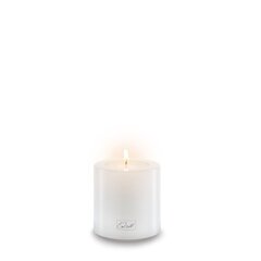 Farluce Trend Candle - подсвечник Ø 6 см В 6 см цена и информация | Подсвечники, свечи | pigu.lt