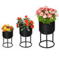 3 gėlių stovų rinkinys su gėlių vazonu, metalinių augalų stovų rinkinys kaina ir informacija | Gėlių stovai, vazonų laikikliai | pigu.lt