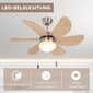 Lubų ventiliatorius su LED apšvietimu Homcom, 16 W kaina ir informacija | Ventiliatoriai | pigu.lt