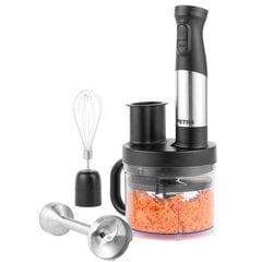 Petra PT5877VDE 5 in 1 Blender Set цена и информация | Блендеры, измельчители | pigu.lt