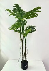 Monstera 140 cm kaina ir informacija | Dirbtinės gėlės | pigu.lt