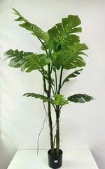 Monstera 160 cm kaina ir informacija | Dirbtinės gėlės | pigu.lt