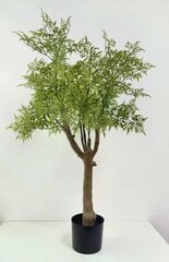 Poliscia fruticosa 120 cm цена и информация | Искусственные цветы | pigu.lt