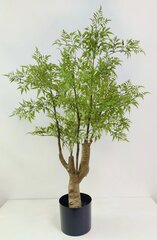 Poliscia fruticosa 110 cm цена и информация | Искусственные цветы | pigu.lt