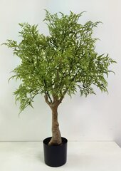 Poliscia fruticosa 90 cm kaina ir informacija | Dirbtinės gėlės | pigu.lt