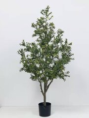 Buksmedis /buxus 110 cm kaina ir informacija | Dirbtinės gėlės | pigu.lt