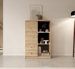 Тумбочка ADRK Furniture Evi, коричневая цена и информация | Шкафчики в гостиную | pigu.lt
