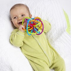 Развивающая игрушка для малышей цена и информация | Игрушки для малышей | pigu.lt