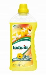 Ludwik universalus skalbimo skystis Summer Garden, 1 l цена и информация | Очистители | pigu.lt