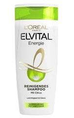 Šampūnas L'oreal Paris Elvital Energie Reinigendes Shampoo, 300 ml kaina ir informacija | Šampūnai | pigu.lt